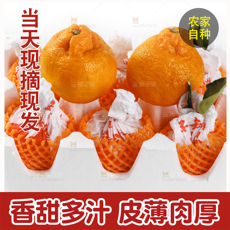 箱子里的四川丑橘