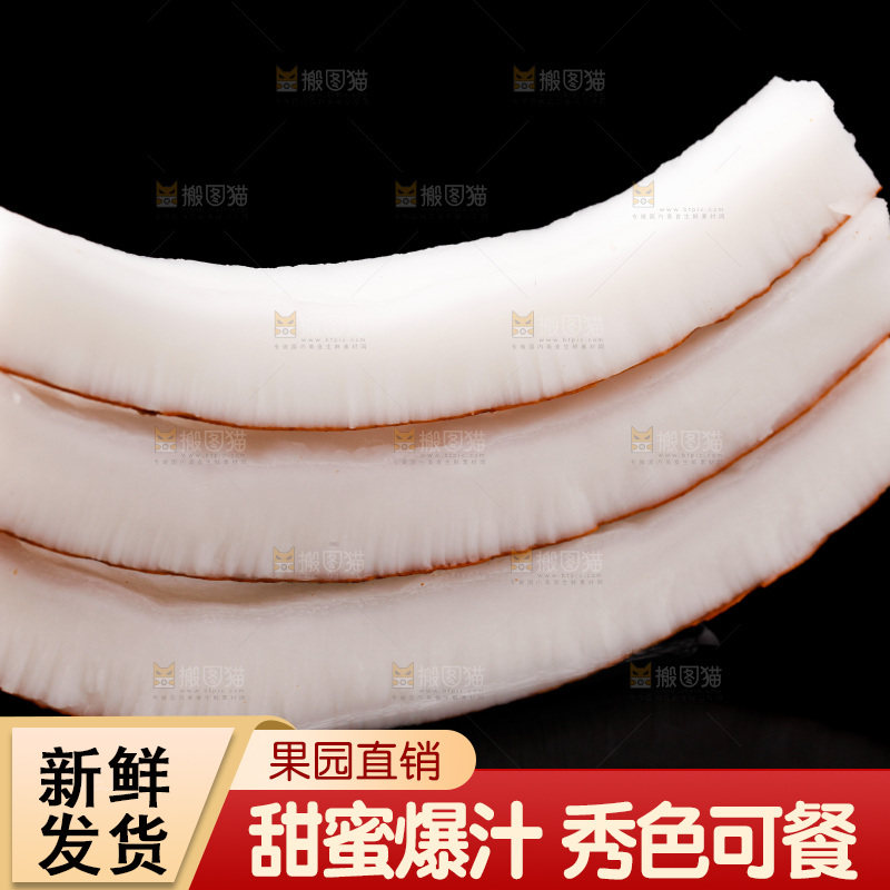 黑底上的椰王