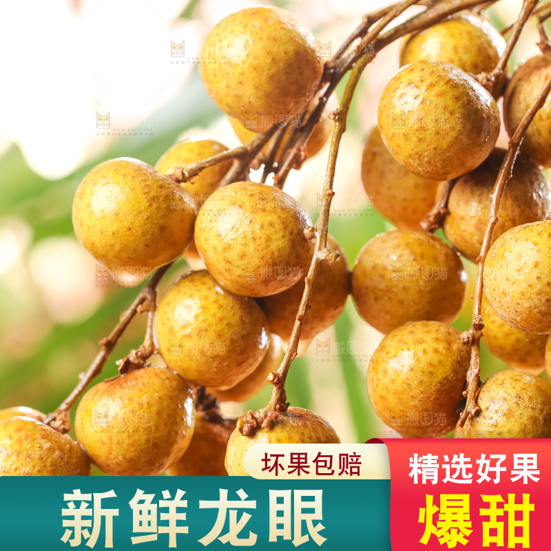 手里拿着新鲜龙眼