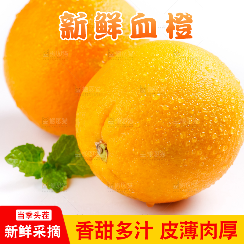 白底上的血橙