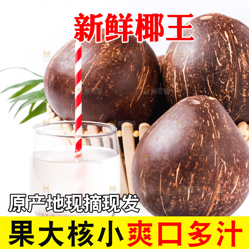 白底上放着椰王
