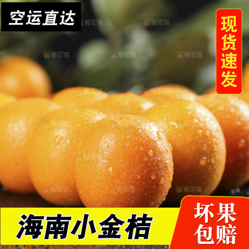 黑石板上的广西金钱橘
