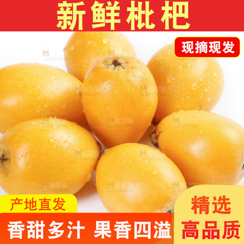白底上的米易枇杷
