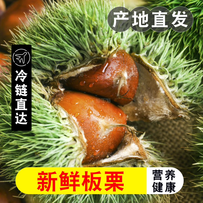 深底上放着迁西板栗