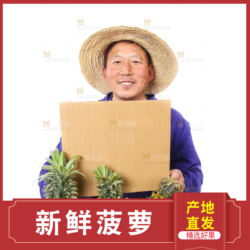 农民手里拿着香水菠萝
