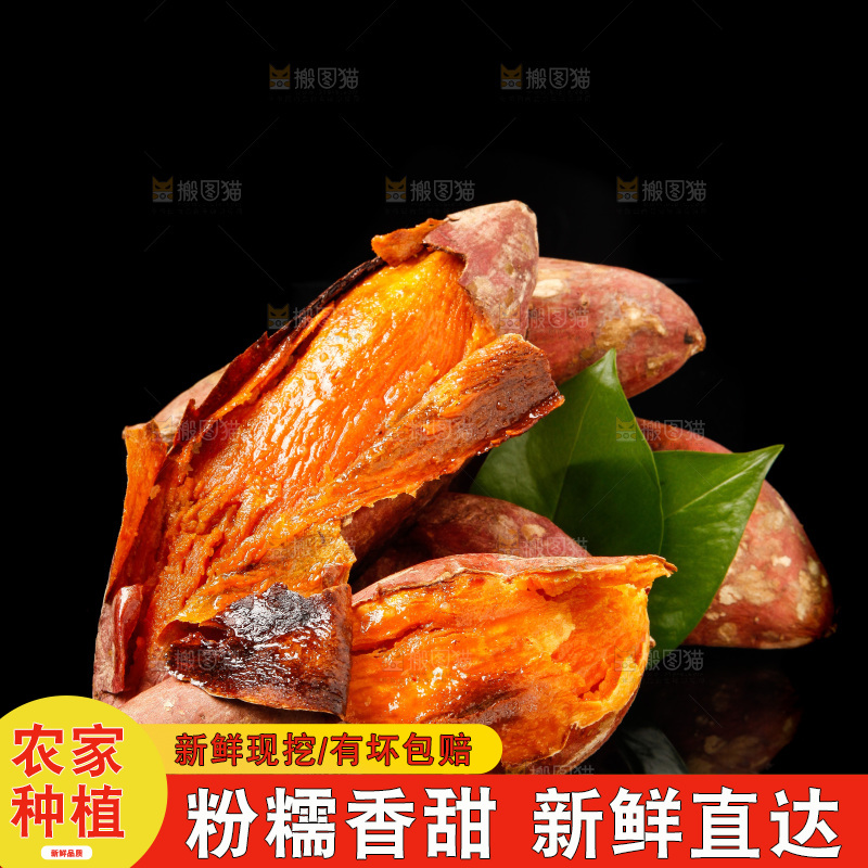 黑底上的烟薯25号