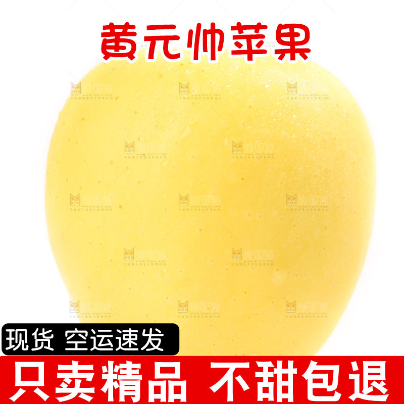 白底上摆放着黄金帅