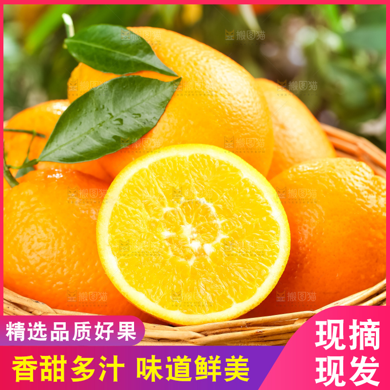 篮子里装着长虹脐橙
