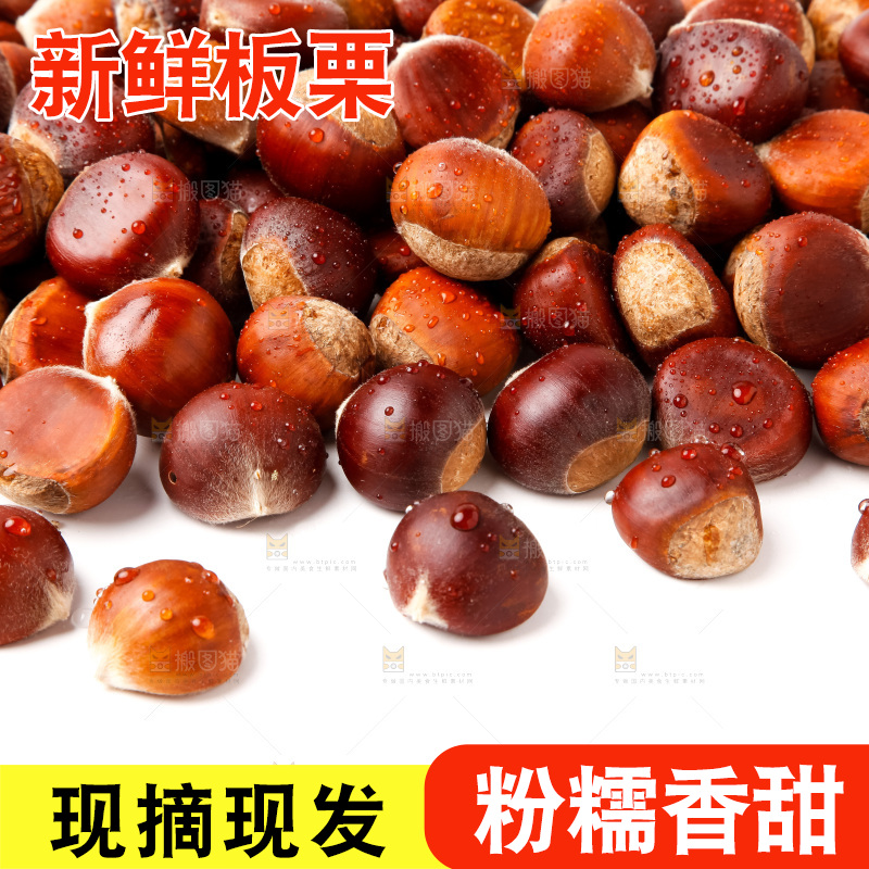 白底上的新鲜栗子