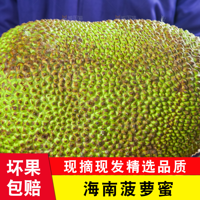 浅底上的泰国红心菠萝蜜