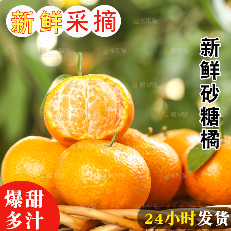 篮子里装着广西砂糖橘