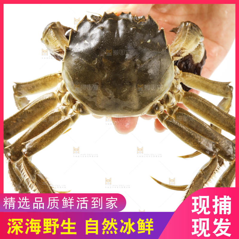 手里拿着鲜活螃蟹