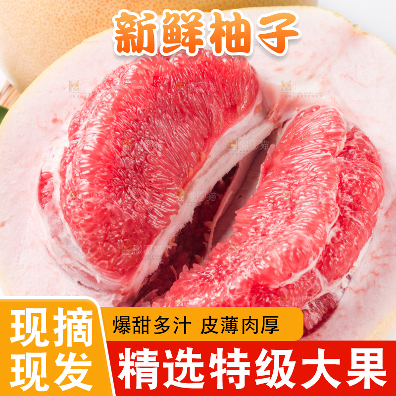 白底上的新鲜柚子