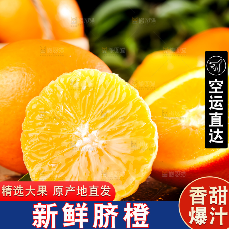黄板子上的脐橙