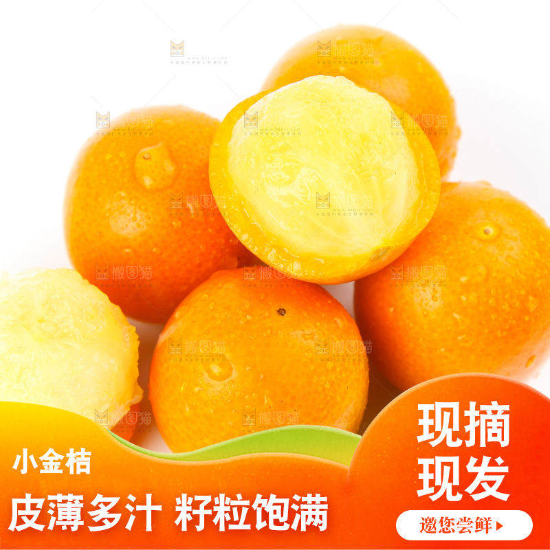 白底上的融安小金桔