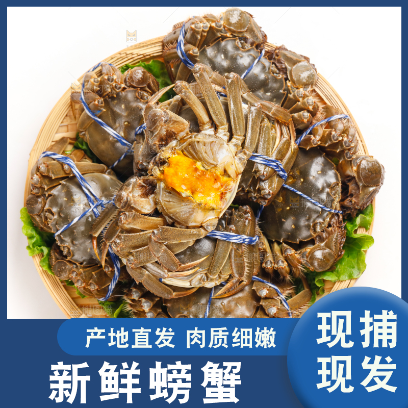 篮子里装着鲜活螃蟹