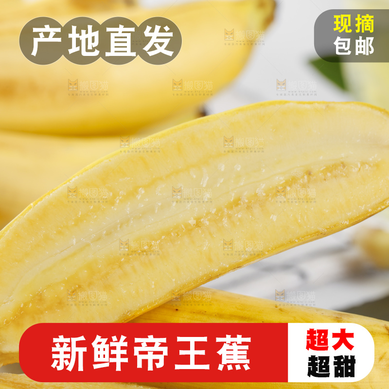 黑石板上的芭蕉