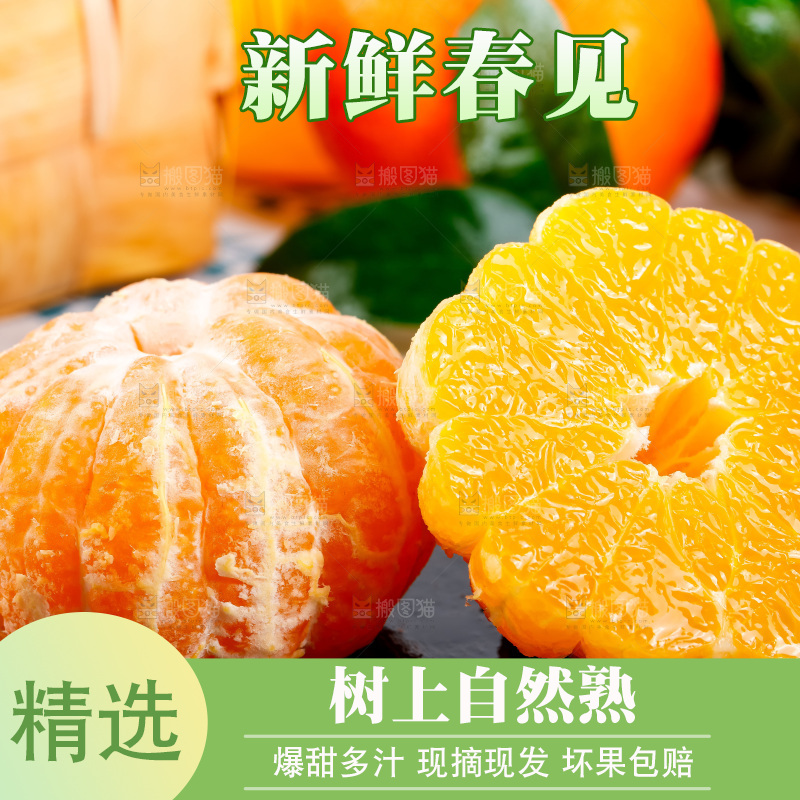 黑石板上的春见耙耙柑