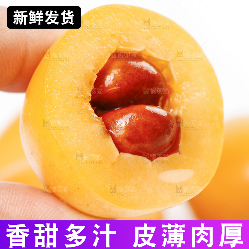 白底上放着攀枝花米易枇杷