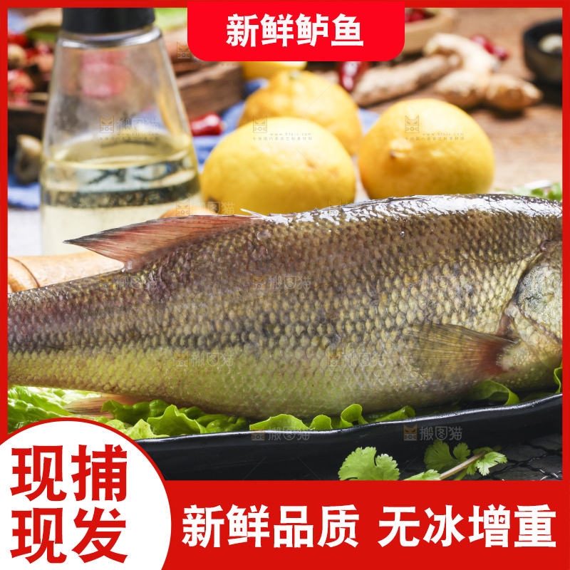 盘子里装着鲈鱼