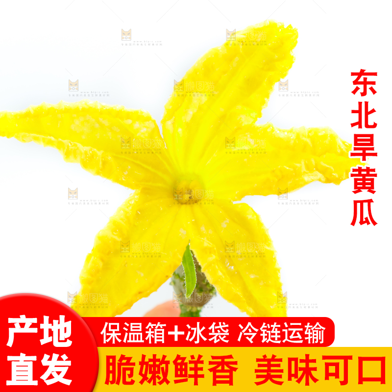 白底上的小黄瓜