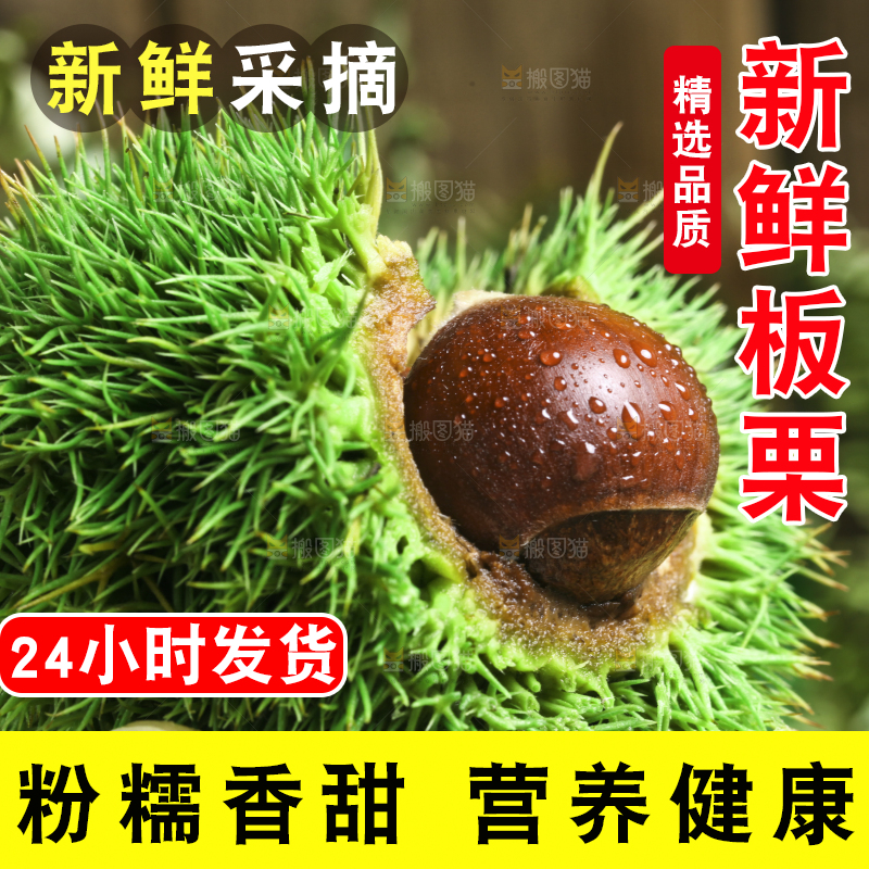 手里拿着新鲜板栗