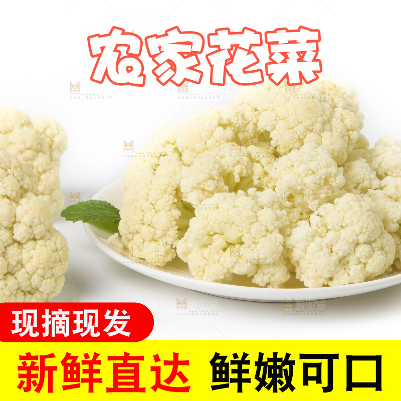 白底上的花菜