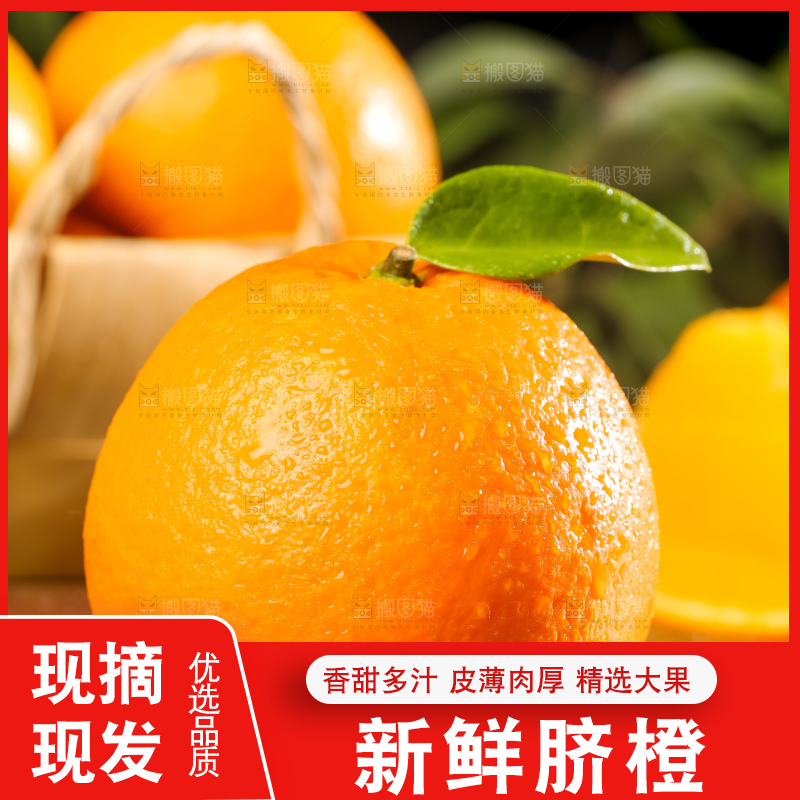 黄板子上的脐橙