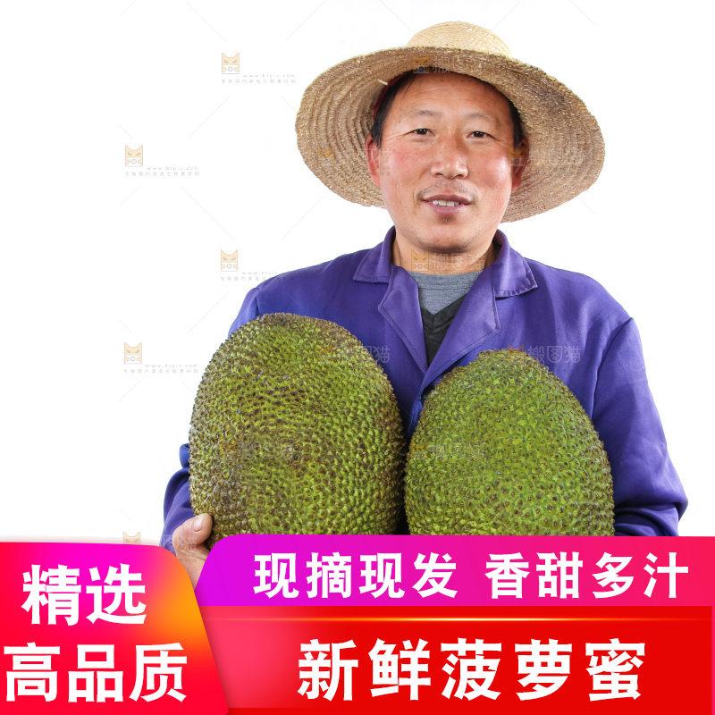农民手里拿着菠萝蜜