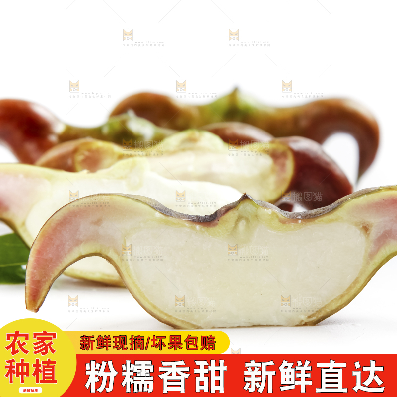 白底上的新鲜菱角