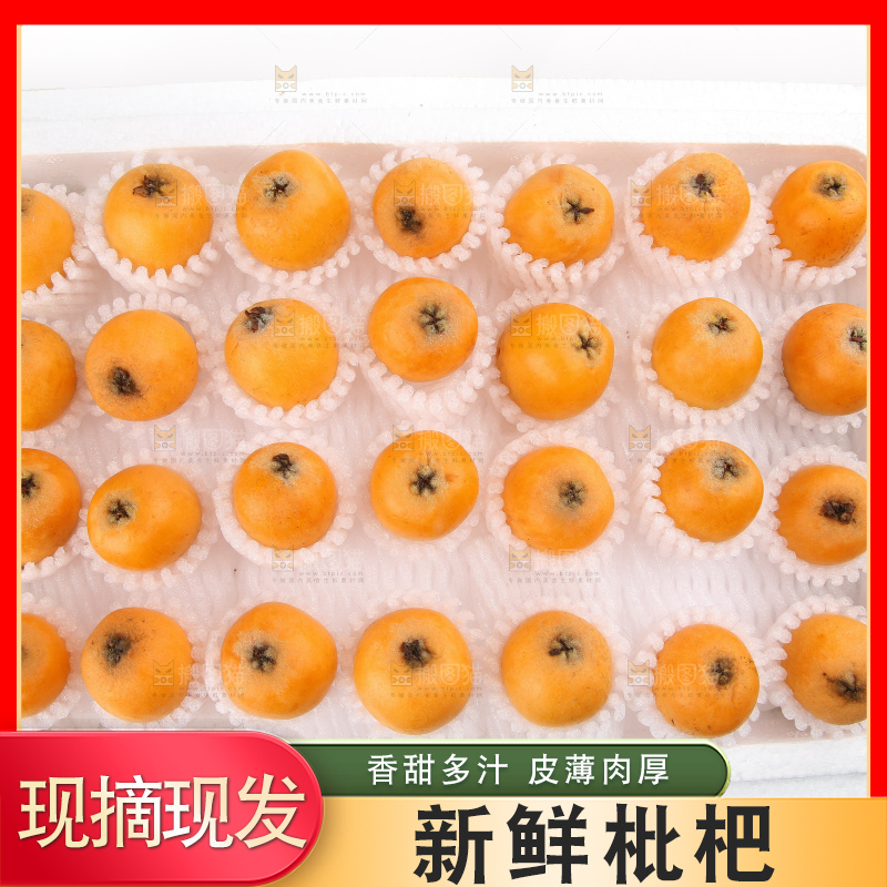 泡沫箱里装着米易枇杷