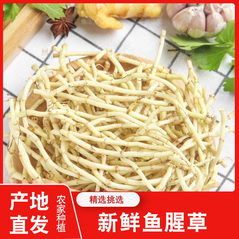 篮子里装着鱼腥草