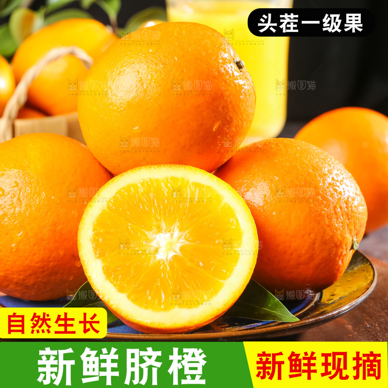 黄板子上的脐橙