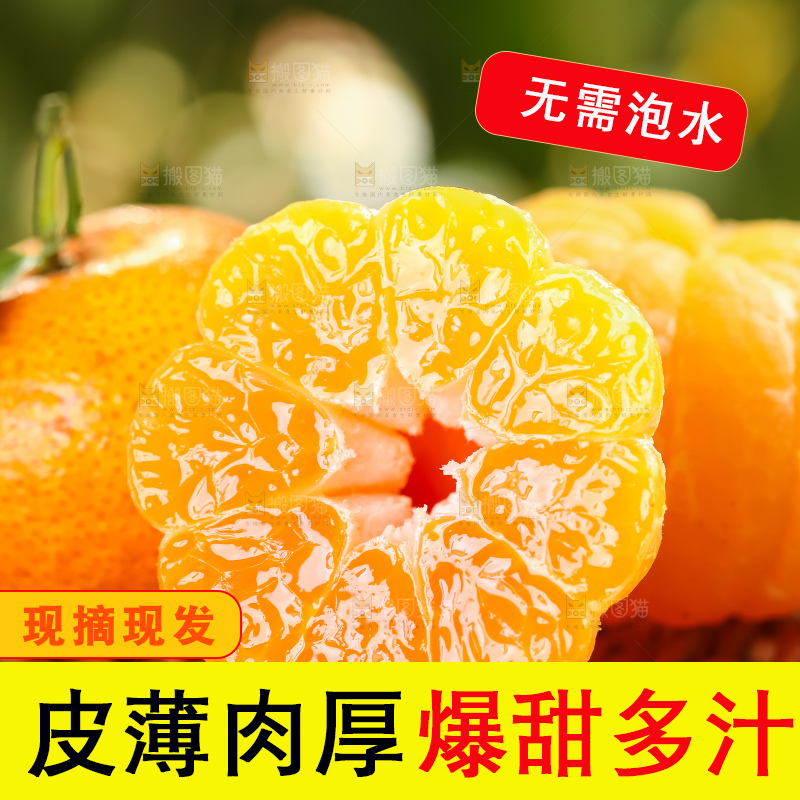 篮子里装着广西砂糖橘