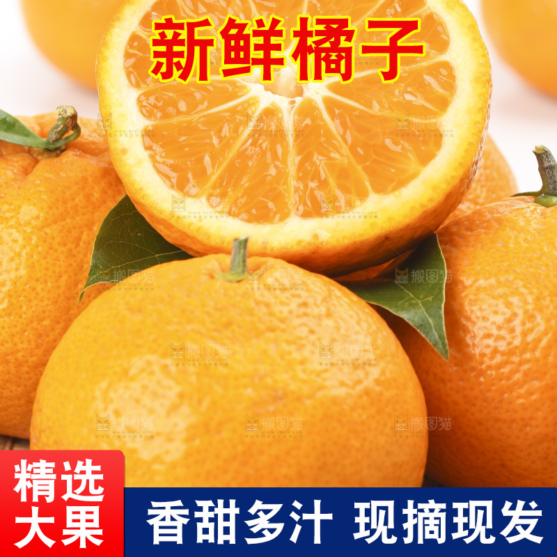 白底上的椪柑橘