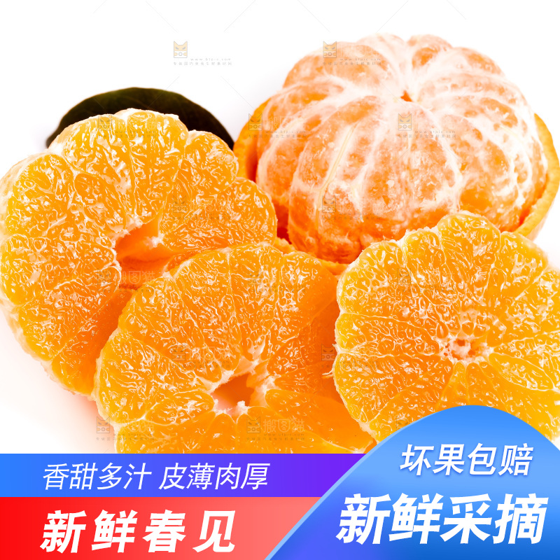 白底上的春见耙耙柑