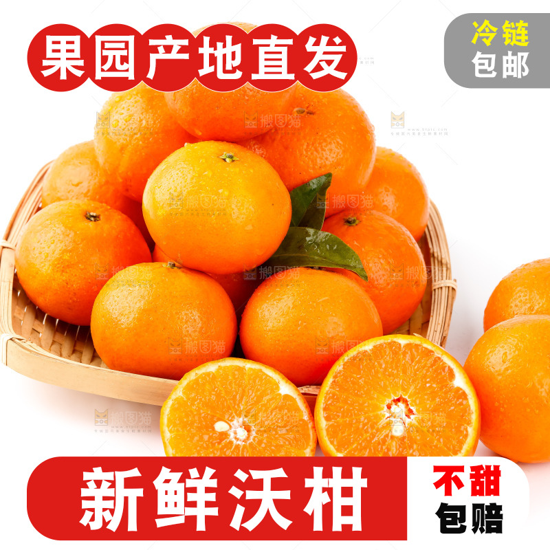 篮子里的贵妃柑