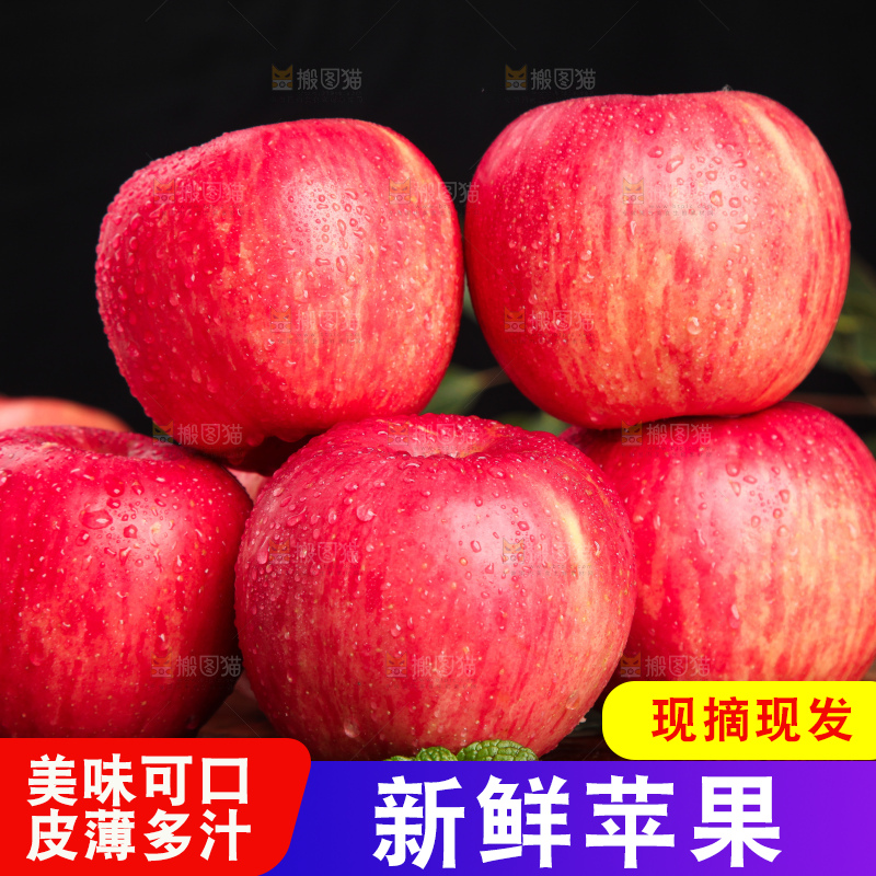 木底上摆放着洛川红富士