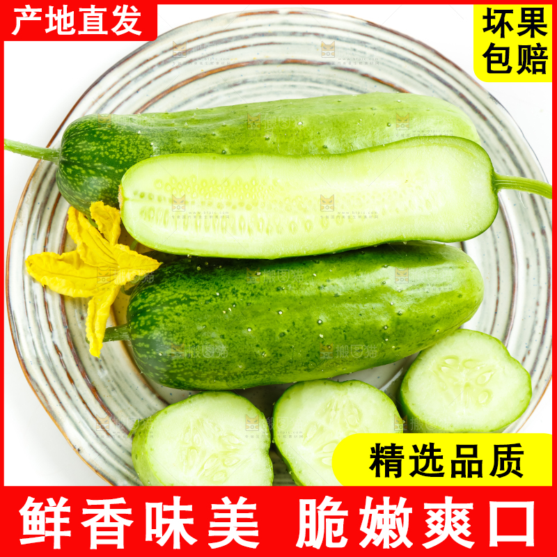 盘子里的东北旱黄瓜