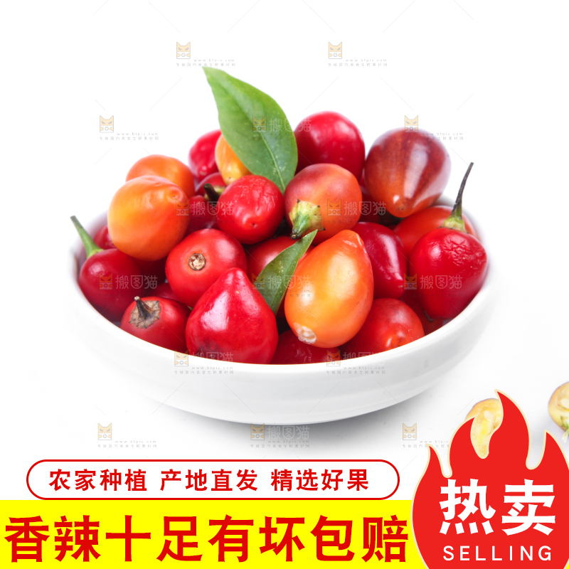 白底上的七彩椒
