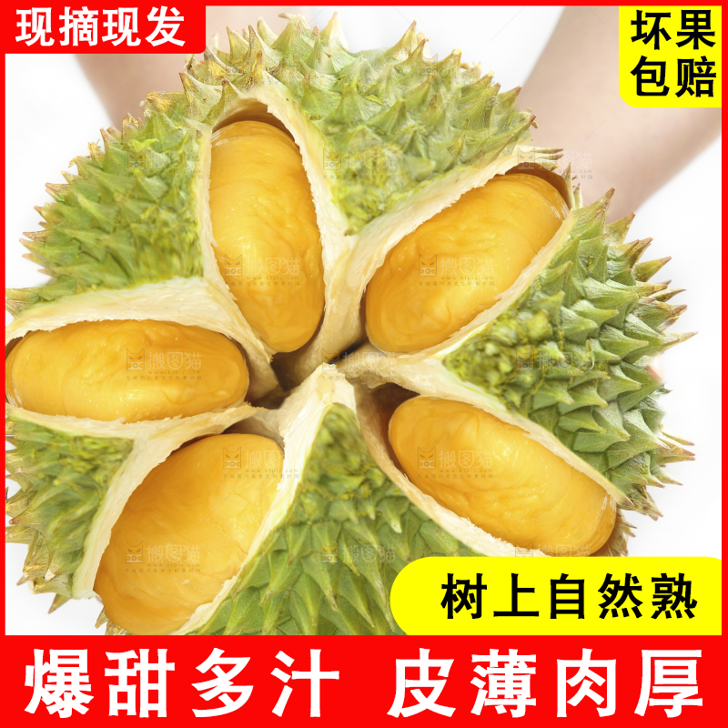 白底上放着泰国金枕榴莲