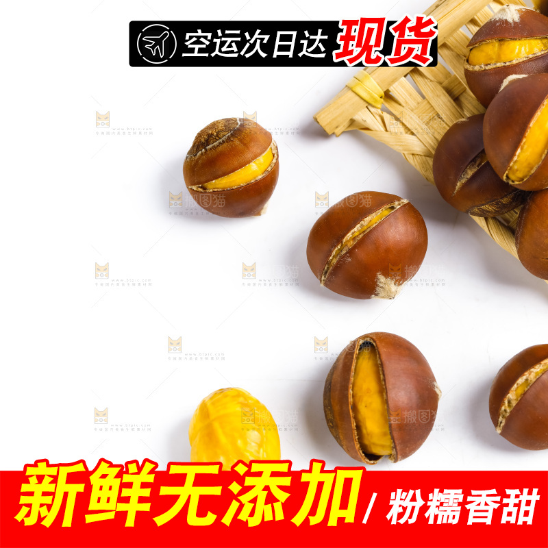 白底上的生板栗