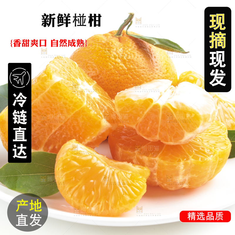 白底上放着四川椪柑