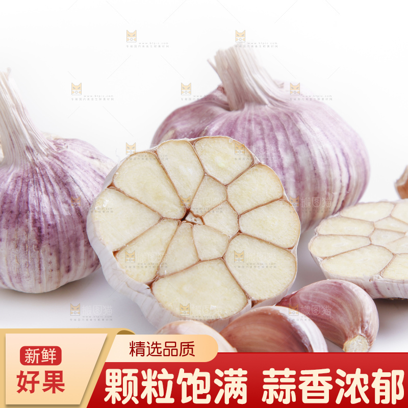 白底上的山东大蒜头