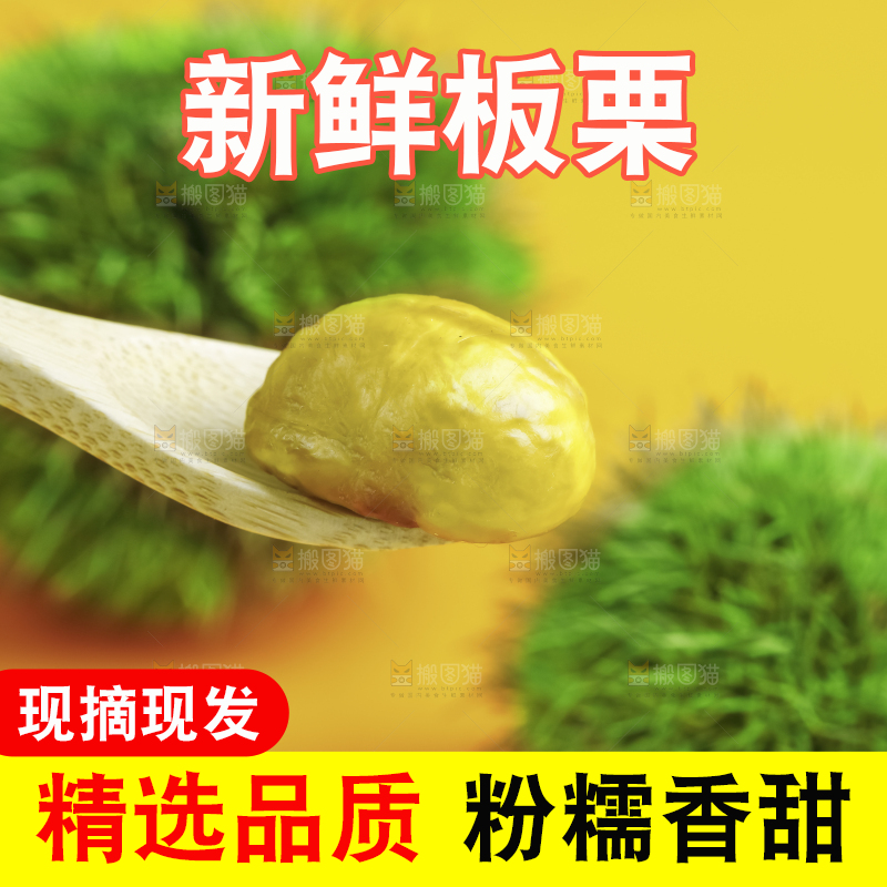 黄底上的迁西板栗