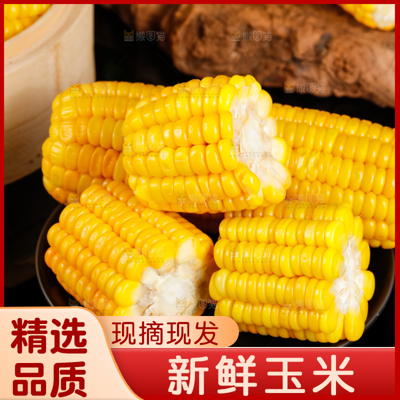 深底上的东北玉米