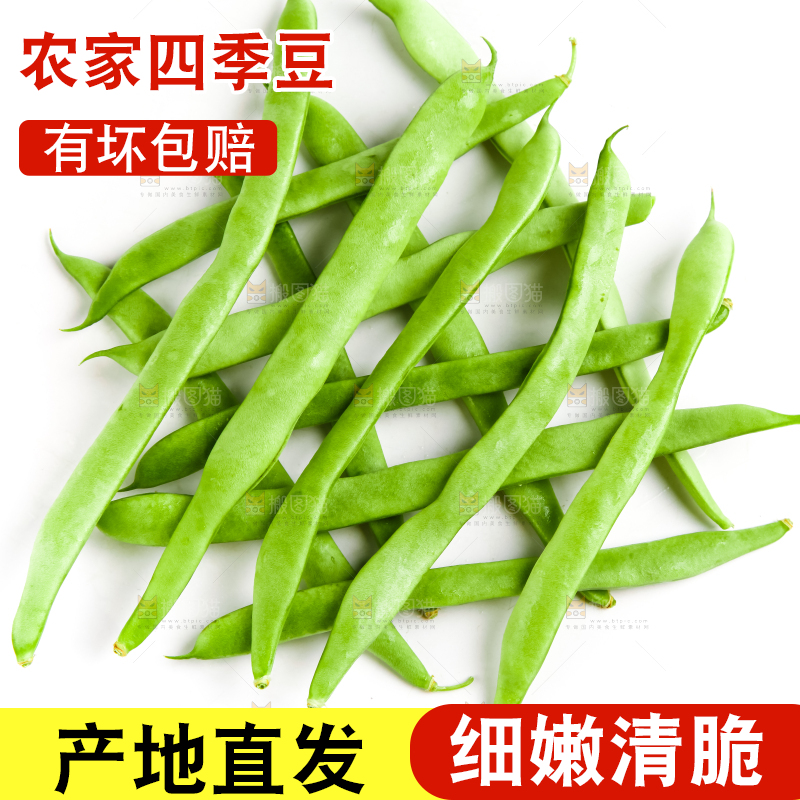 白底上的四季豆