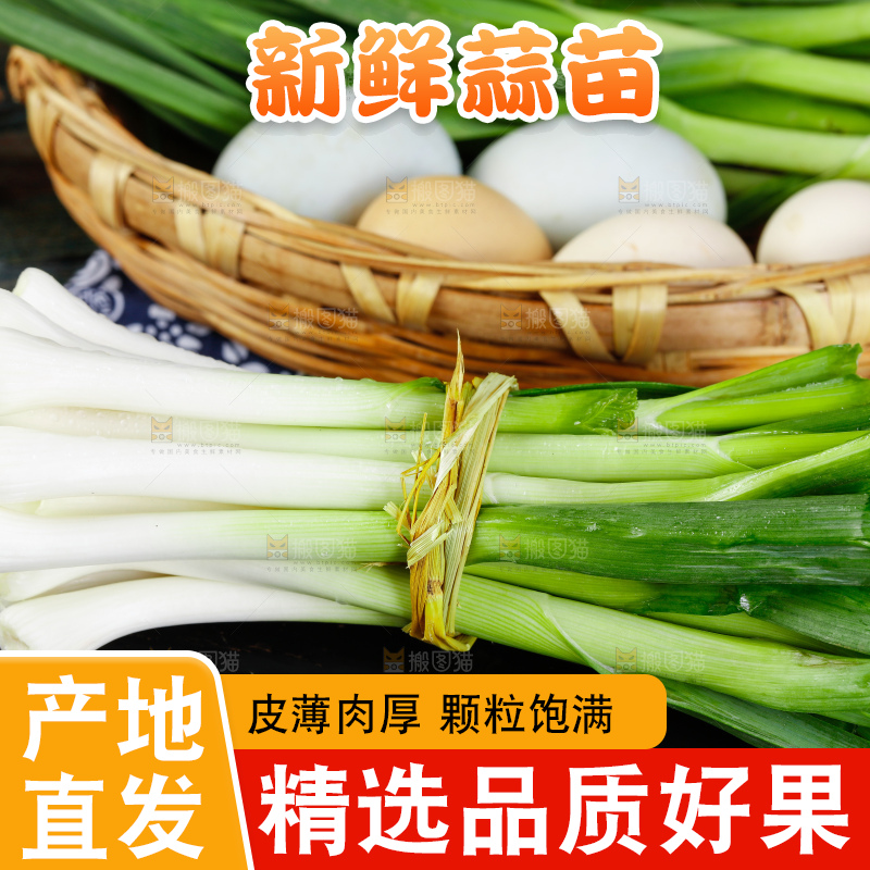 深底上的蒜苗