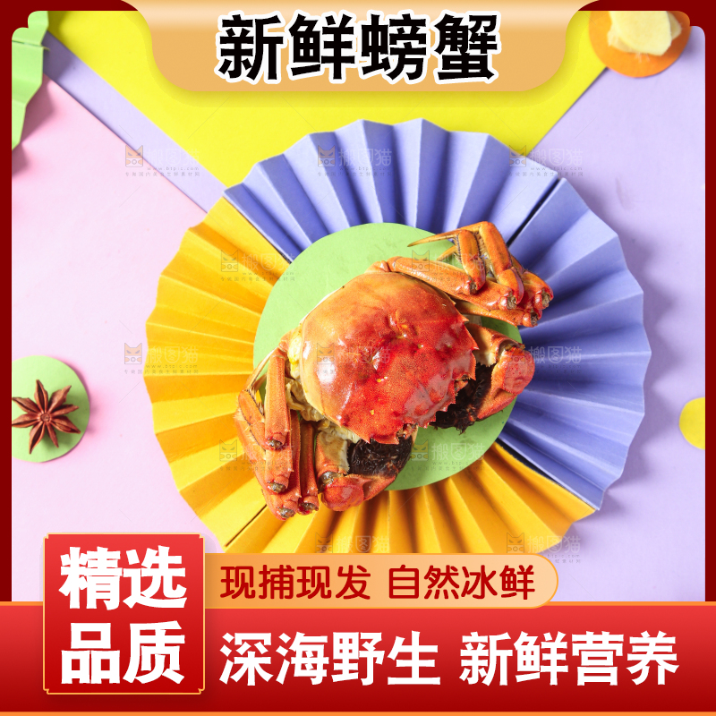 彩底上的螃蟹