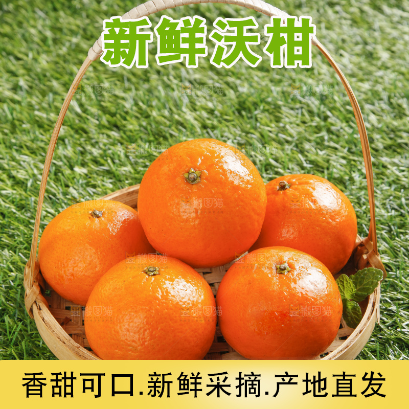 草地上放着贵妃柑